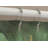  Natural Ginkgo Harmony Shower Curtain-905475904