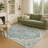 Machine Washable Indoor/Outdoor Chantille ACN2715 Global Rug-1229486034-1229486029
