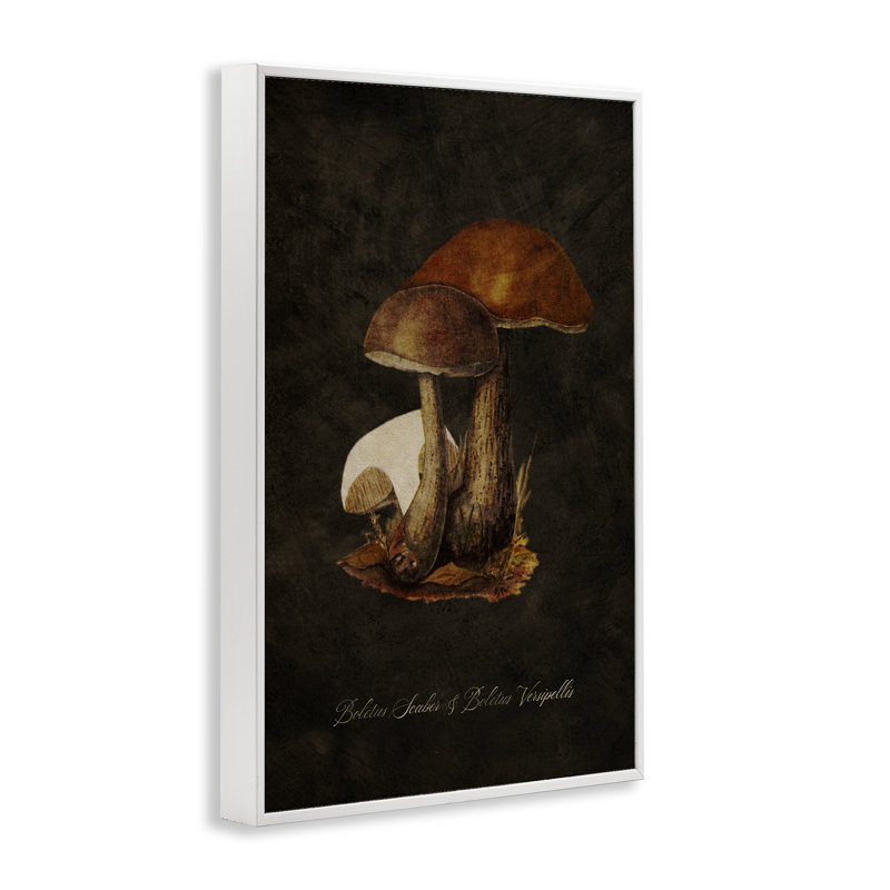 Art de la giclée, étude de types de champignons par Tina Higgins Designs, Inc., Estampe numérique encadrée blanc bord de mer