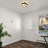 2-Light Flush Mount Ceiling Light