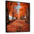 Black Floater Framed