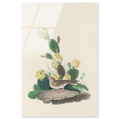 Prickly Pear Perch Acrylic Print Botanical Art by Art Remedy