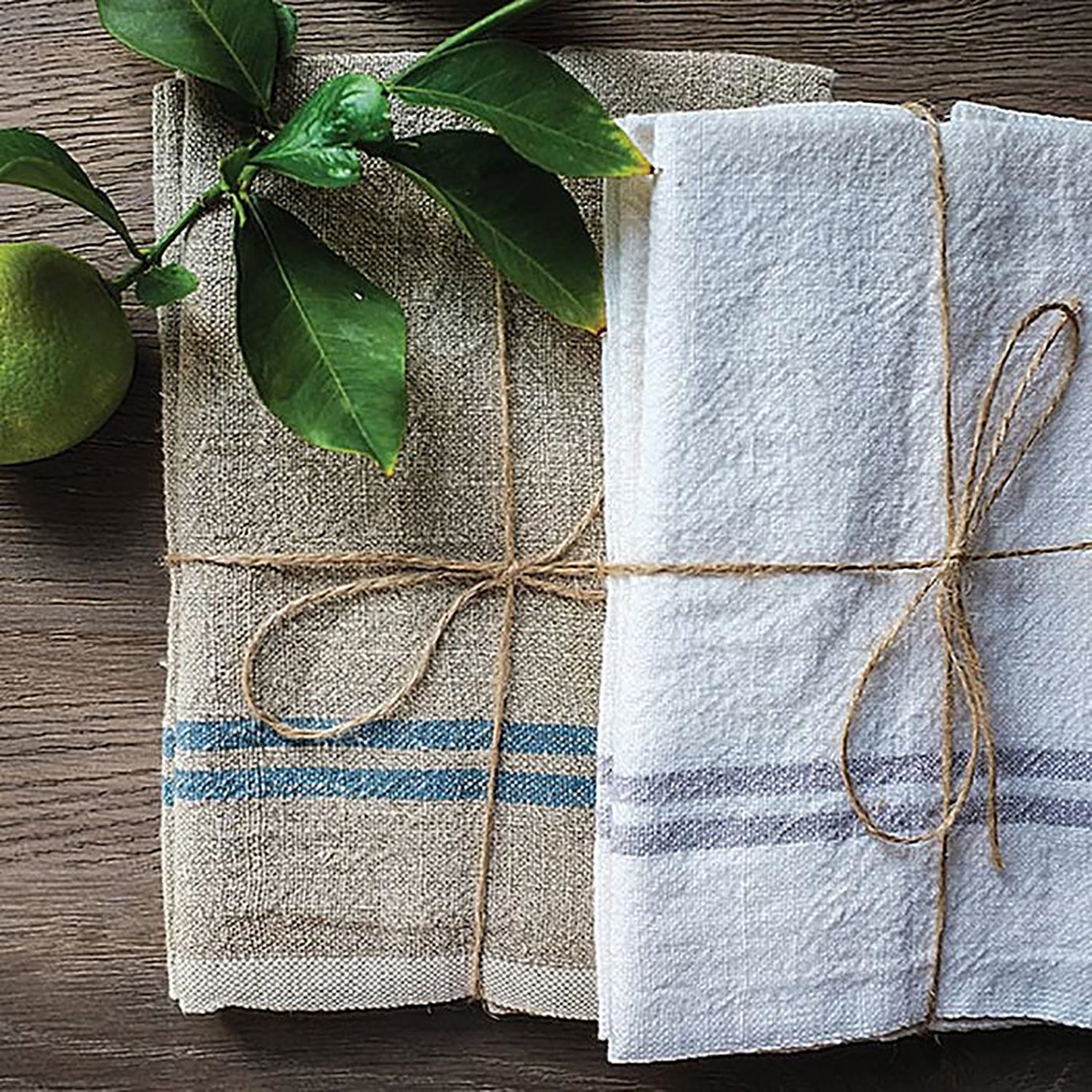 Reversible Linen Napkin, Natural/Blue