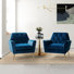 Thaddeus Velvet Armchair
