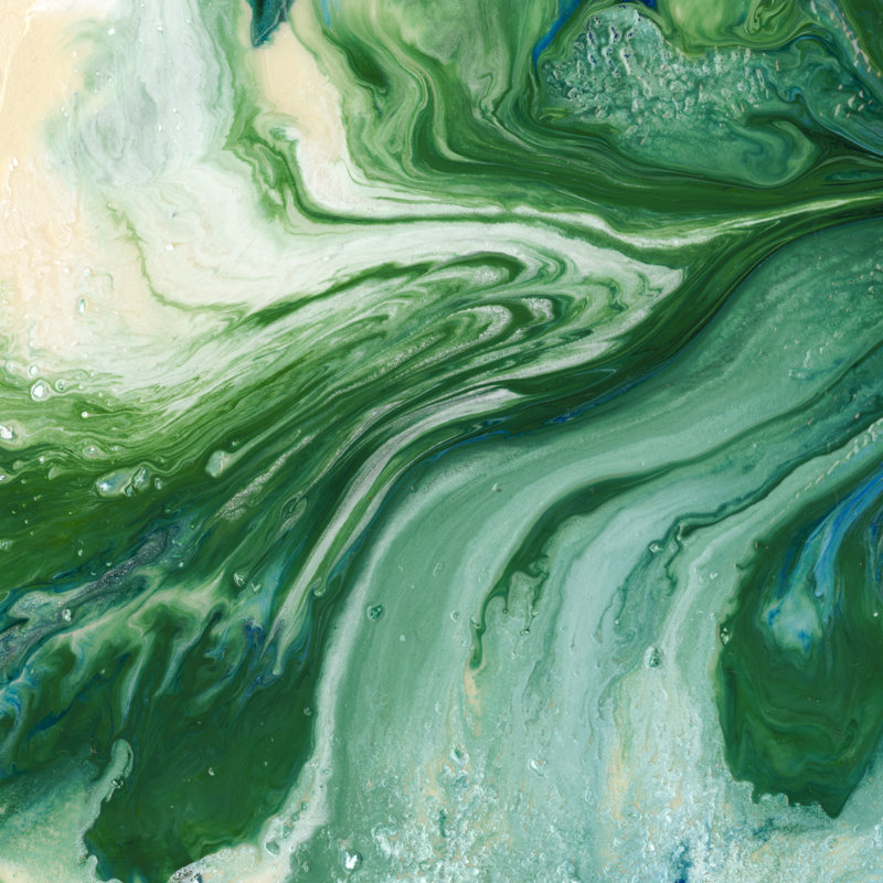 Amazonian I by Alicia Ludwig - Wrapped Canvas Painting, 30cm H x 30cm W