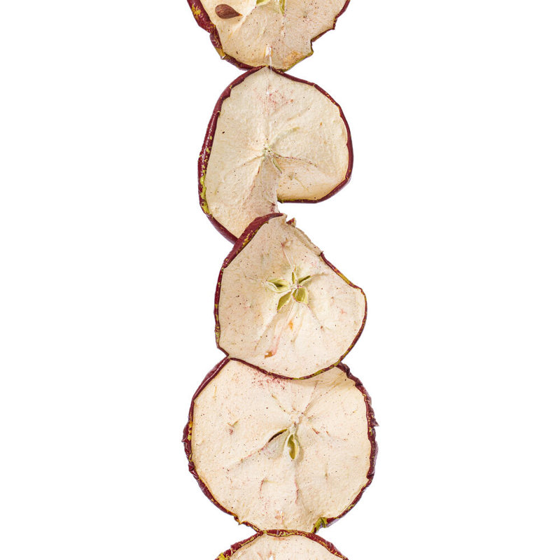 Natural Botanicals 10ft Natural and Dried Sliced Apple Garland.
