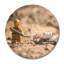 Those Were The Droids! Print-46472001-46472004