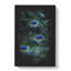 The Feathers of a Peacock - Wrapped Canvas-56644425