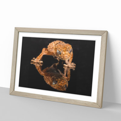 Rough Knob Gecko Lizard - Picture Frame Graphic Art