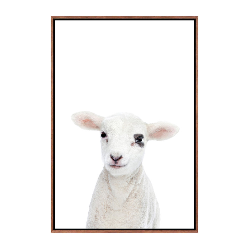 «Baby Lamb» par Sissi & Seb - impression d'art graphique, H 40 po x l 26 po x P 1,5 po, Toile avec cadre brun, Pas de tapis