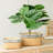 Set of 2 Rectangular Basket Planters with Geometric Trim, L:10.5x8.5x8" S:7.5x5.5x6.5"