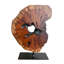 Sculpture irrégulière en bois sculpté à la main à partir de racines, sculpture sur pied de table abstraite pour la maison, décoration naturelle, bord de table, souche d'arbre - petit (l 7,75 po x H 11 po)