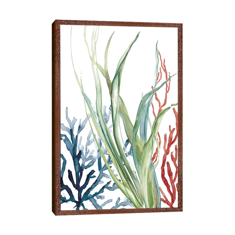 Ocean Garden II by Carol Robinson - Painting on Canvas, 66.04 cm H x 45.72 cm W, Classic Brown Wood Framed