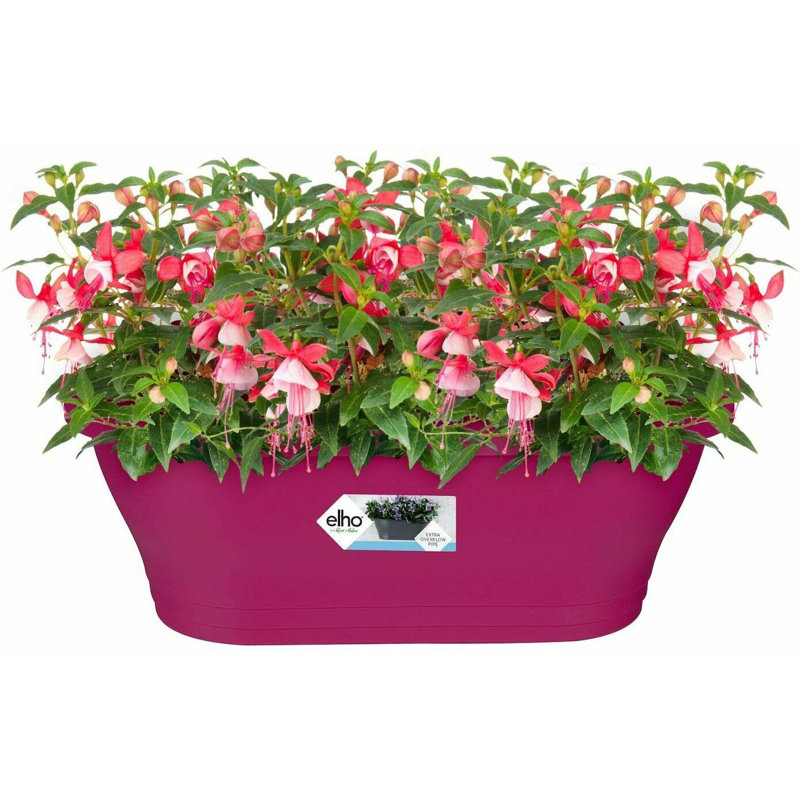 Wall Planter, Dark Pink