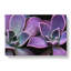 Lilac & Green Succulent Plant - Wrapped Canvas Art - Wrapped Canvas-55365479
