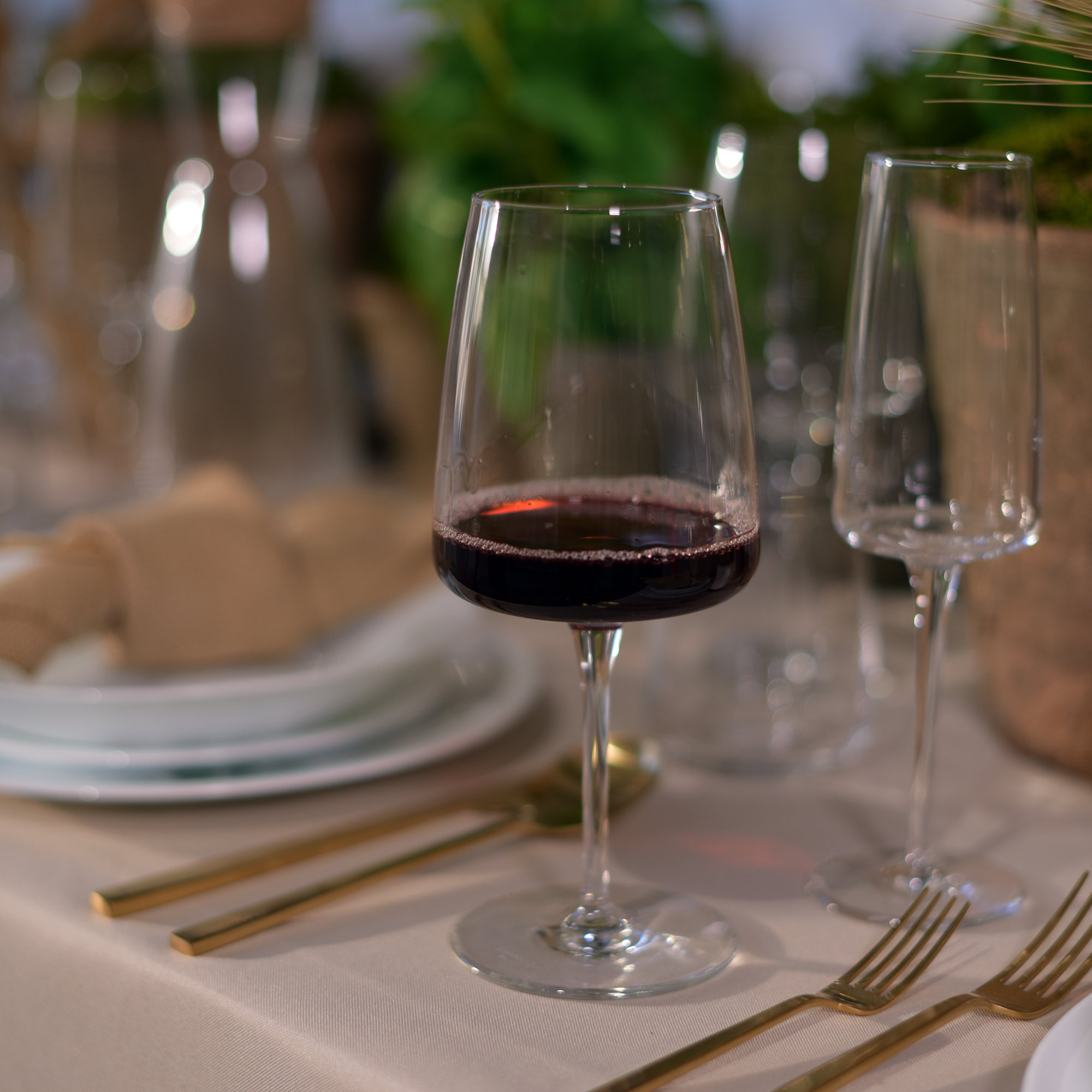 Planeo Wine Glasses, 16.25 Oz
