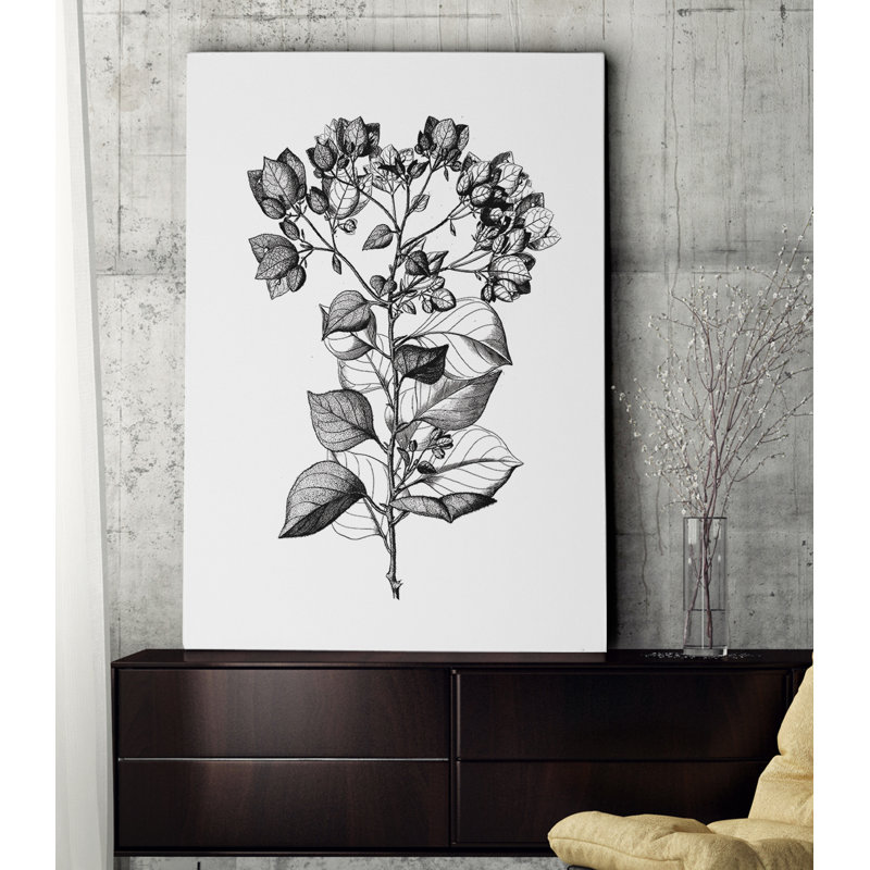 « botanique noir et blanc i », reproduction d’impression sur toile tendue, H 36 po x l 48 po x P 1,5 po