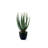 18'' Succulent
