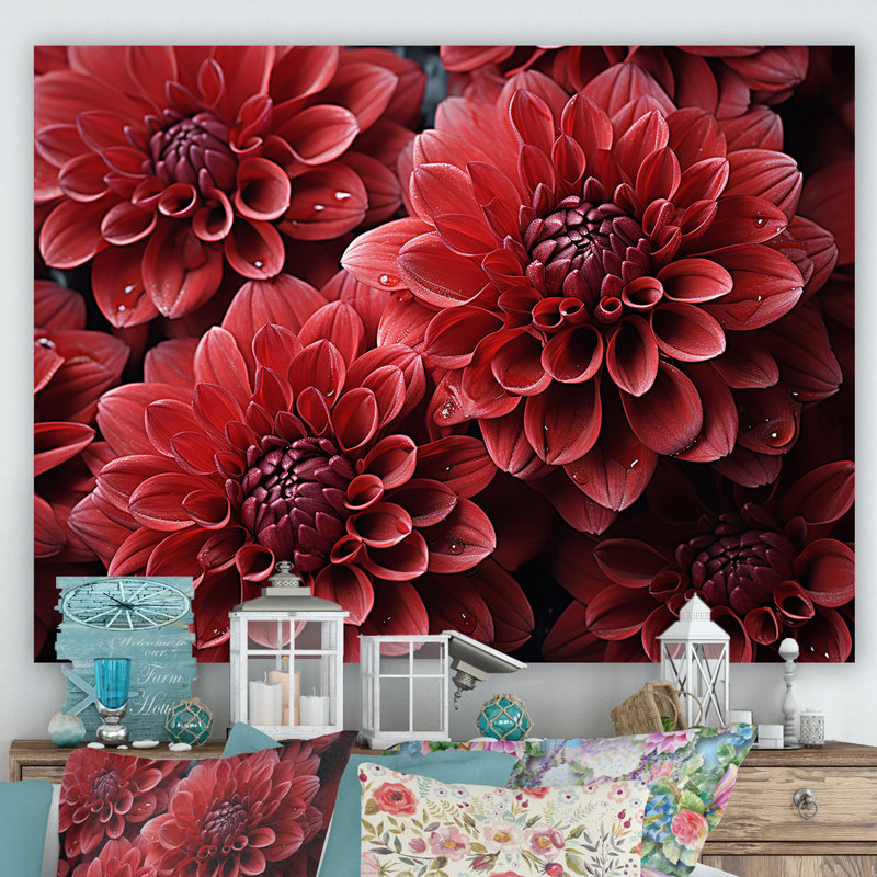 «Crimson Mums Elegance Blooms» - art mural sur toile Mums, Toile tendue, H 24 po x l 32 po x P 1 po