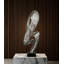 Sculpture moderne en acier inoxydable