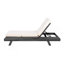 Lounge Chaisewith Lounge Cushion-1872382478
