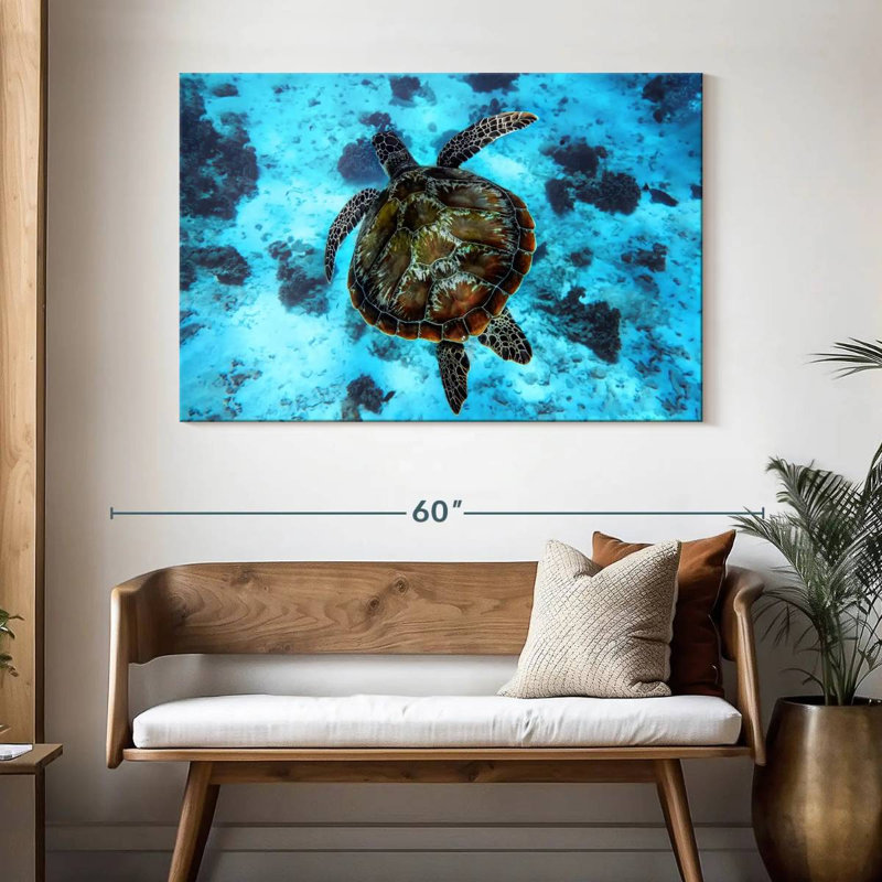 Brampt Turtle Habitat, 32" H x 48" W