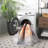 Shealin Machine Washable Performance Oriental Rug-818580114