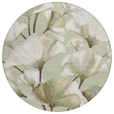 Machine Washable Indoor/Outdoor Raemoore ACN2405 Botanical Rug