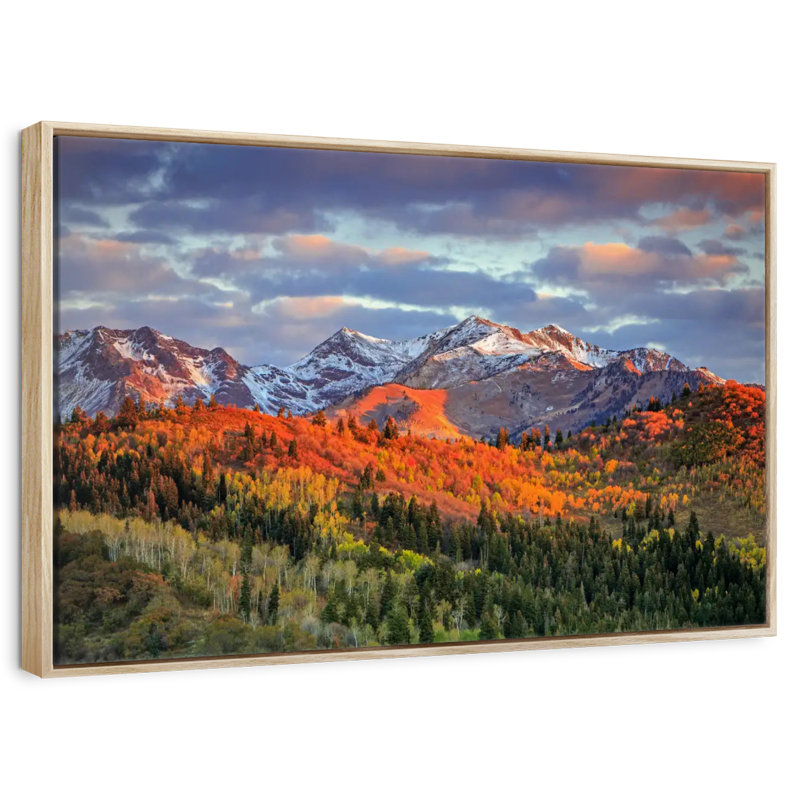 Mont Wasatch, Cadre flottant en bois naturel, 31 po x 21 po