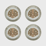Shell Coasters