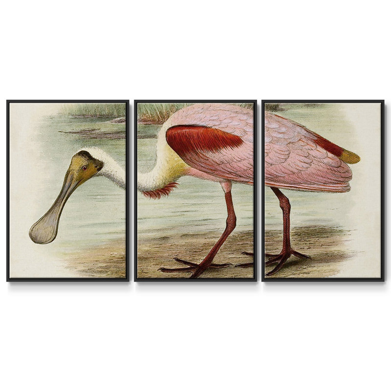 Roseat Spoonbills II 3 pièces, Noir, H 36 po x l 75 po x P 2 po