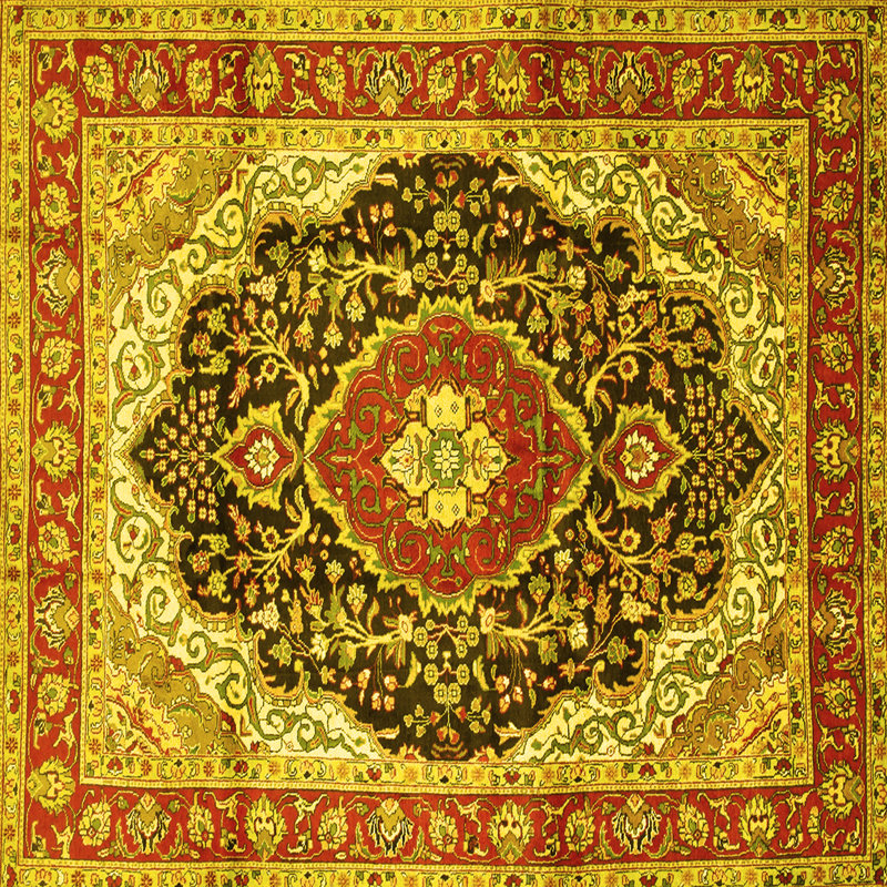 Mcannich Washable Oriental Indoor Rug, Square 8'