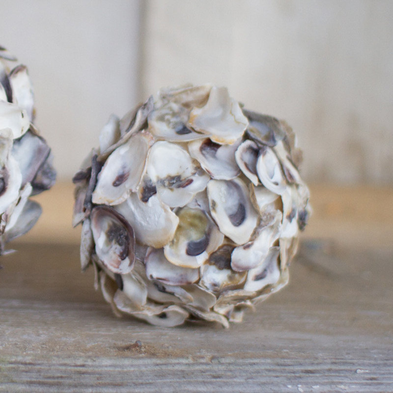 Ensemble de 4 boules décoratives naturelles 4,5 "Kalalou Oyster Shell Sphere