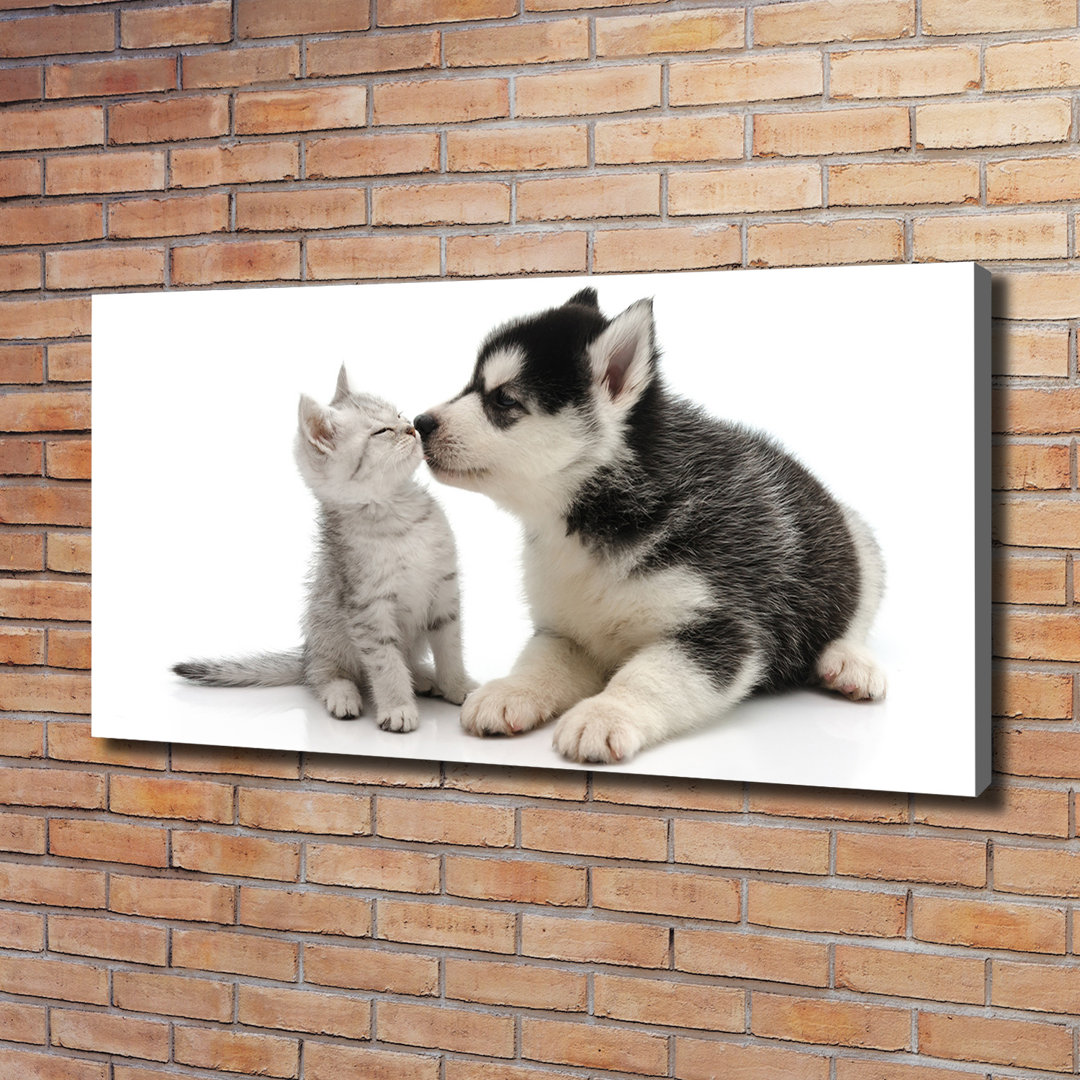 Hund und Katze - Ungerahmte Kunstdrucke auf Leinwand