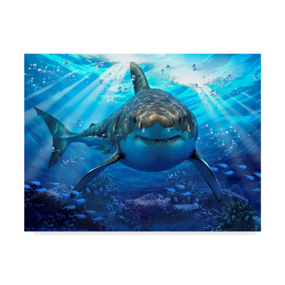 Wrapped Canvas Wall Art - Howard Robinson 'Mudroom Laundry' Wall Art for Living Room, Bedroom, or Office Décor - 35x47