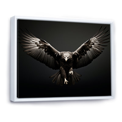 «Bold Eagle Power Hunter II», impressions encadrées