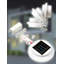 Solar Panel LED 3 Light Spot Light-15716078