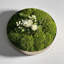 0'' Faux Fir Plant-1312159775