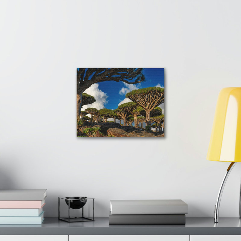 No Frame Print on Canvas, 11cm H x 14cm W