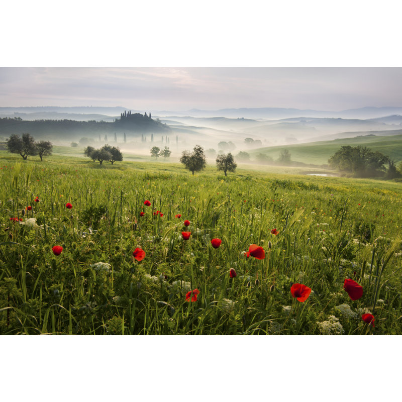 Wrapped Canvas Print, 50.8 cm H x 76.2 cm W