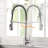 Zupora Pull Down Kitchen Faucet-69680773