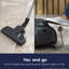 Electrolux Bagless Canister Vacuum
