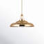 Palmetto 1 - Light Pendant-1368644733-1368121503