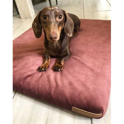 Polyester Pet Bed