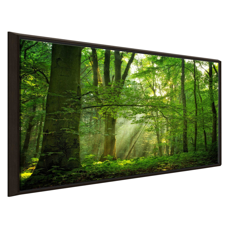 «Breathe» par Lars Van de Goor - photographie, Cadre flottant espresso, H 27,5 po x l 43,5 po x P 2 po
