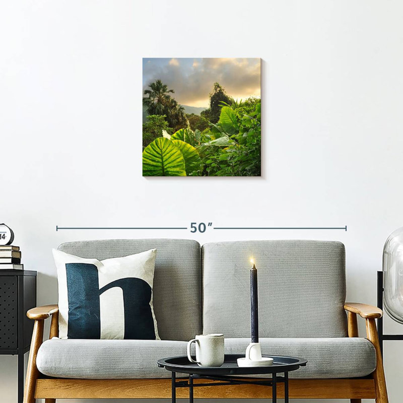 Alvord Borneo Rainforest, 20" H x 20" W