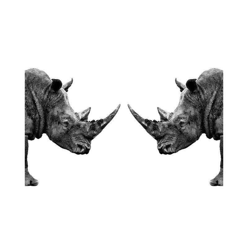 Rhinos Face To Face White Edition by Philippe Hugonnard - Gallery-Wrapped Canvas Giclée on Canvas, Wrapped Canvas