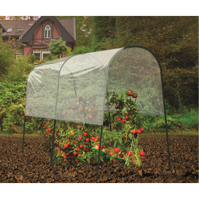 Tomato 4 Ft. W x 6.5 Ft. D Mini Greenhouse