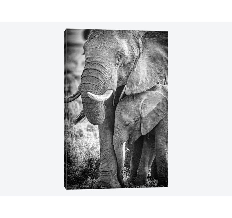 «azure mara national reserve ; narok county ; kenya iii», reproduction de photo sur toile, H 40 po x l 26 po x P 1,5 po