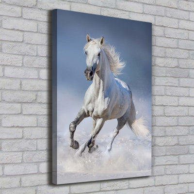 White Horse In Gallop - Wrapped Canvas Print